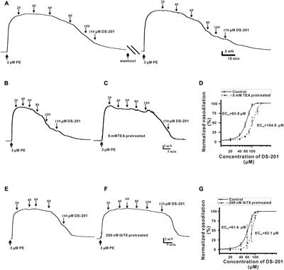 Sodium Tanshinone II-A Sulfonate (DS-201) Induces Vasorelaxation of Rat Mesenteric Arteries via Inhibition of <mark class="highlighted">L-Type Ca2+ Channel</mark>